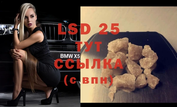 шишки Новозыбков