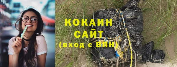 шишки Новозыбков
