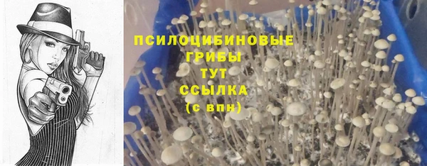 не бодяженный Новокубанск