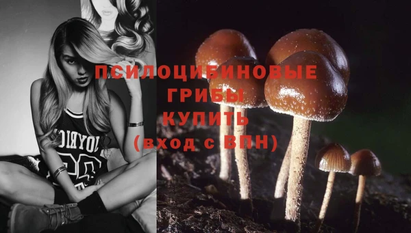 не бодяженный Новокубанск