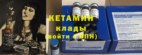 шишки Новозыбков