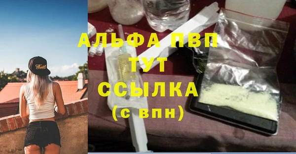 дурь Новодвинск