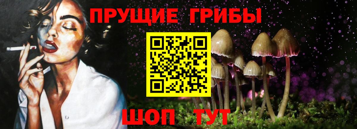 Галлюциногенные грибы GOLDEN TEACHER  Вход с VPN  Новокубанск  Псилоцибиновые грибы Psilocybine cubensis 